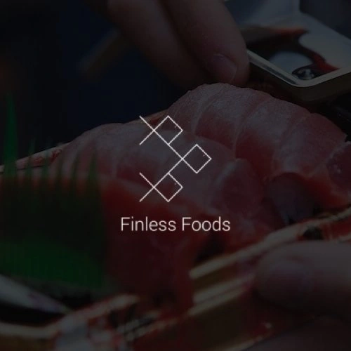 Finless Foods company artwork
