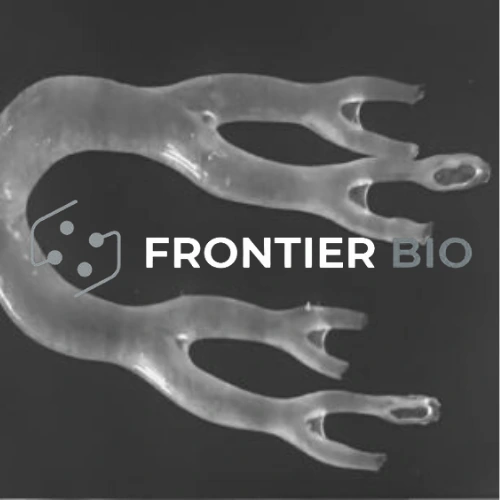 Frontier Bio company artwork