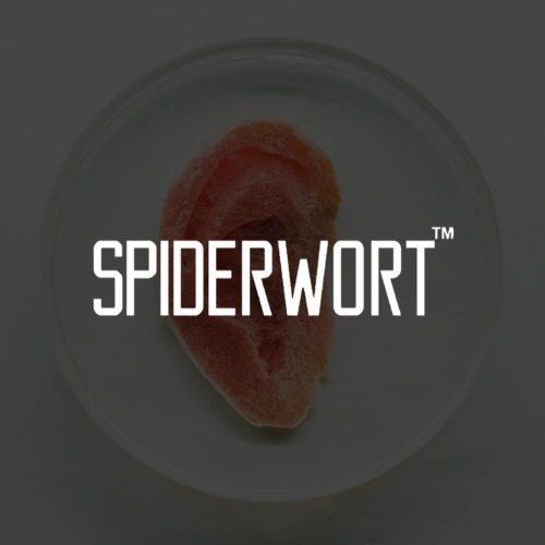 Spiderwort Bio company artwork